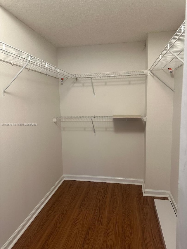 walk in closet with dark hardwood / wood-style floors