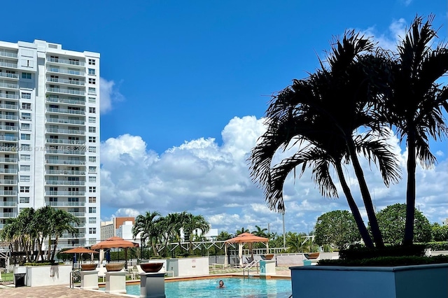 view of swimming pool