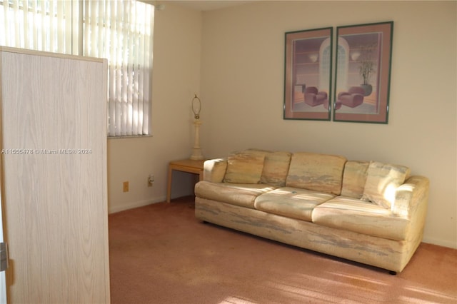 carpeted living room with a wealth of natural light