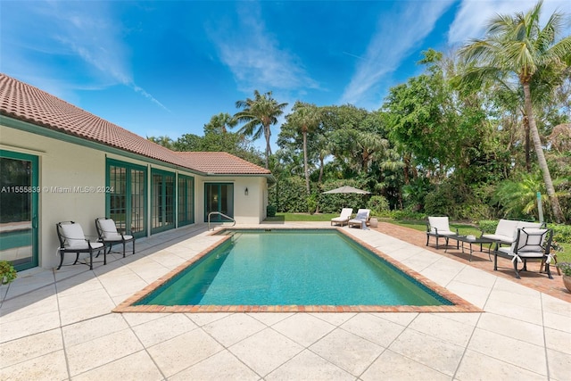 view of pool featuring a patio