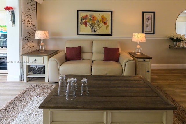 living room with hardwood / wood-style flooring