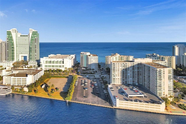 aerial view with a water view