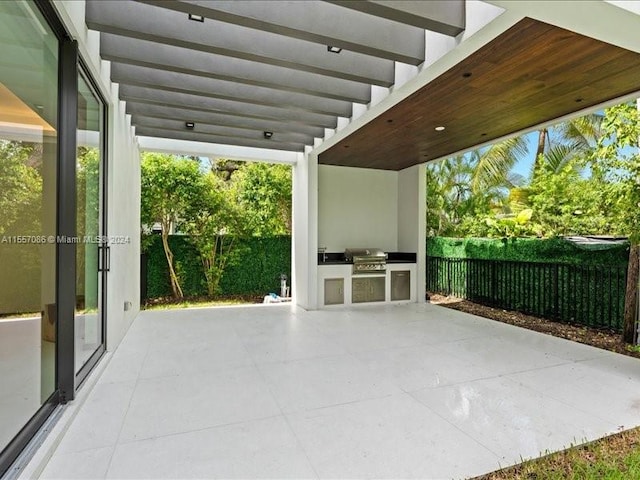 view of patio / terrace featuring area for grilling