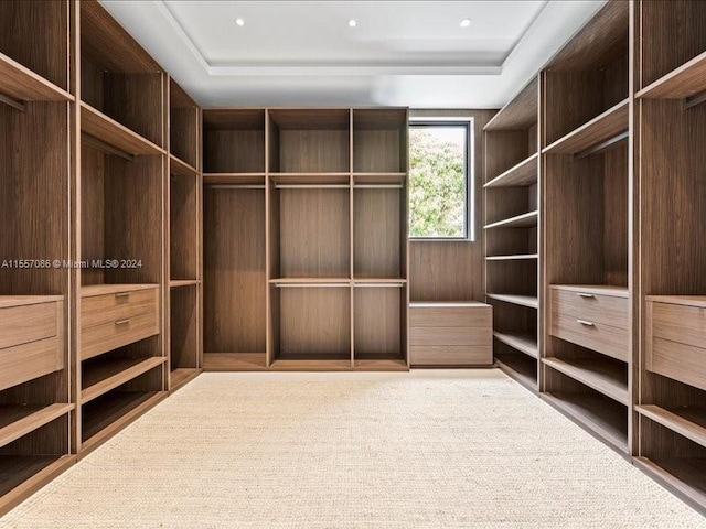 spacious closet featuring a tray ceiling