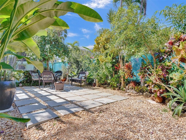 view of yard featuring a patio area