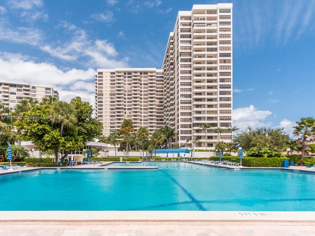 view of swimming pool