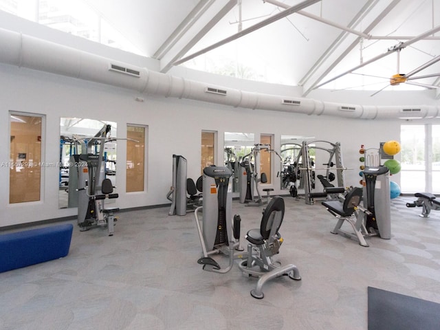 gym featuring light carpet, a healthy amount of sunlight, and high vaulted ceiling