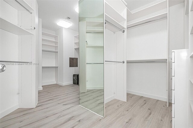 spacious closet with light hardwood / wood-style flooring