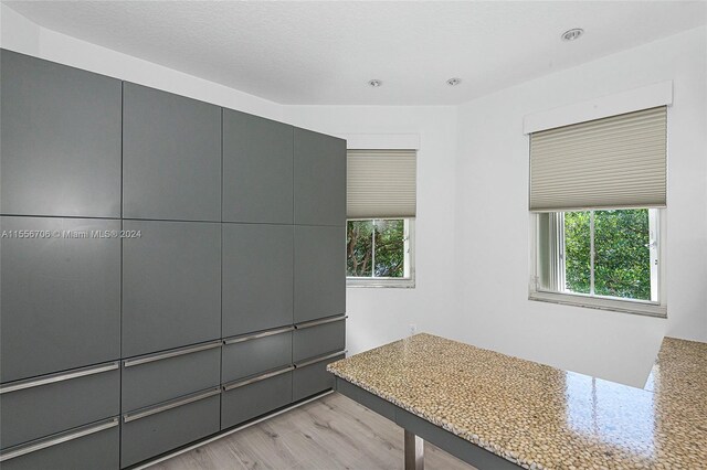 interior space with plenty of natural light and light wood-type flooring