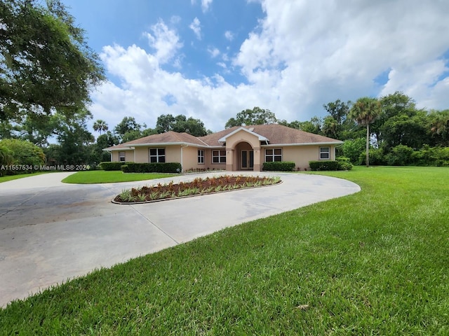 ranch-style home with a front yard