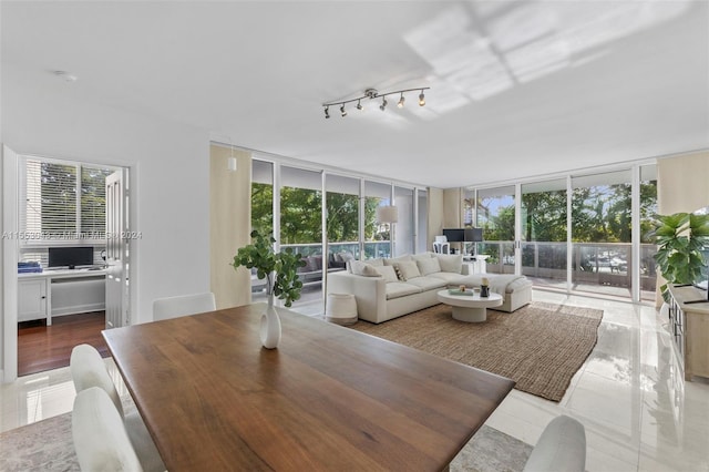 interior space with floor to ceiling windows, rail lighting, light hardwood / wood-style floors, and a wealth of natural light