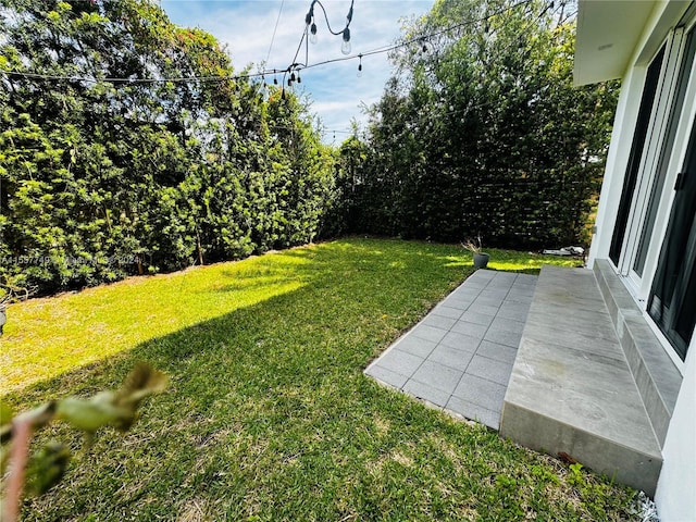 view of yard featuring a patio