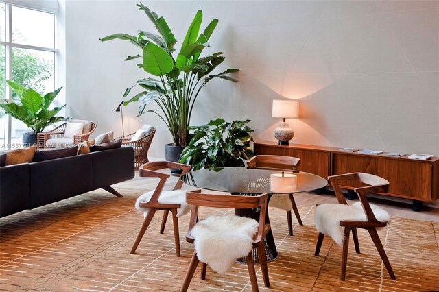 living area featuring plenty of natural light