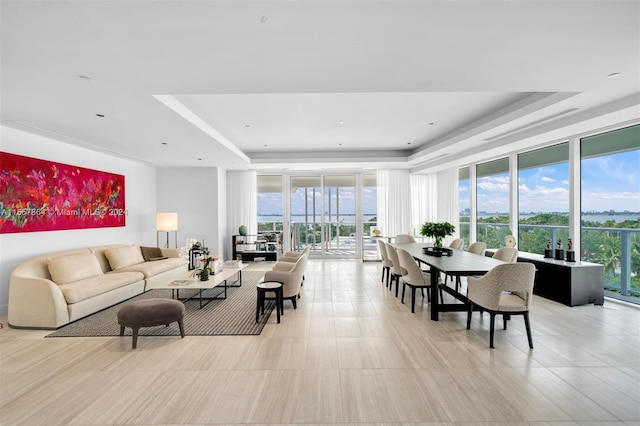 living room featuring hardwood / wood-style flooring and a tray ceiling