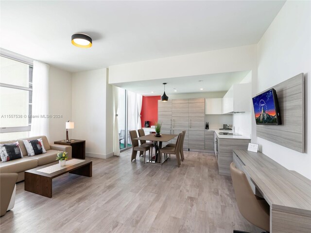 living room with light hardwood / wood-style floors, a wealth of natural light, and sink