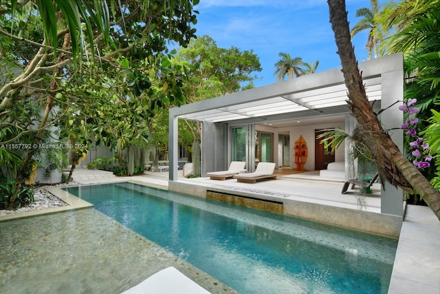 view of swimming pool with a patio area