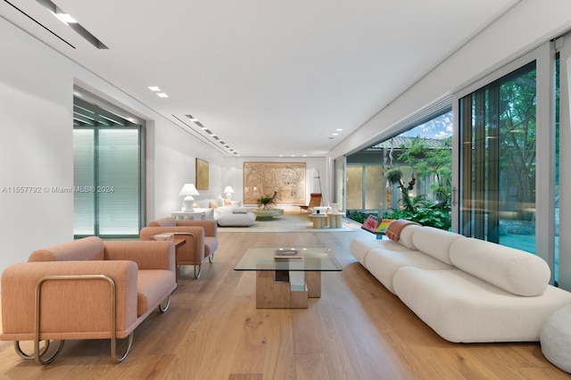 living room with light hardwood / wood-style floors