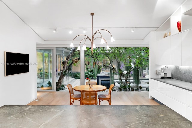 dining room with light hardwood / wood-style flooring and track lighting