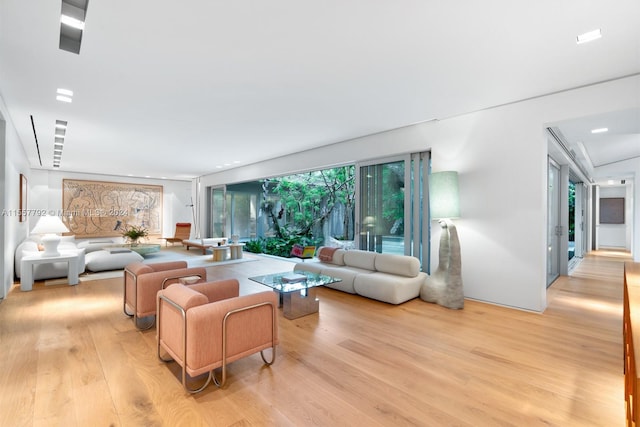 living room with light wood-type flooring