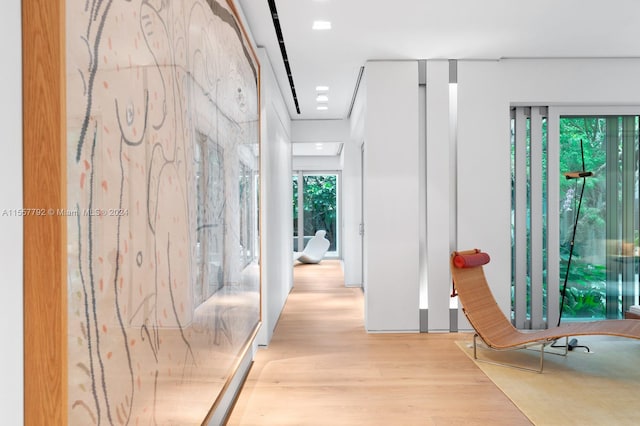 hallway with light hardwood / wood-style flooring and plenty of natural light