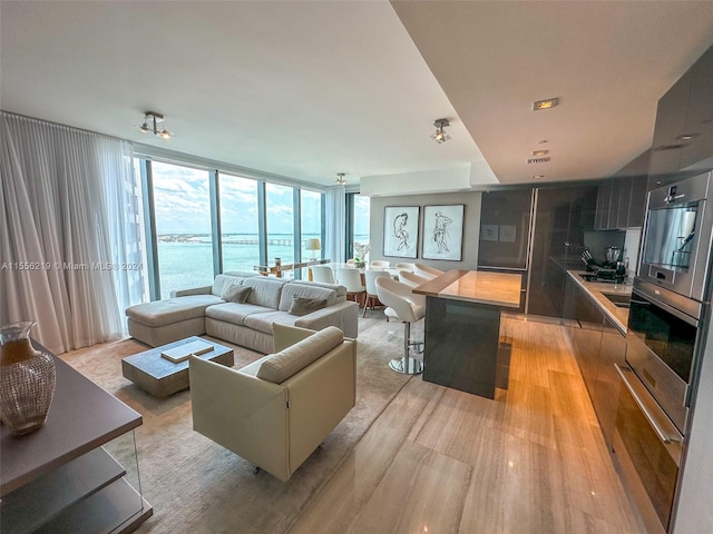 living room featuring light hardwood / wood-style flooring, expansive windows, and a water view