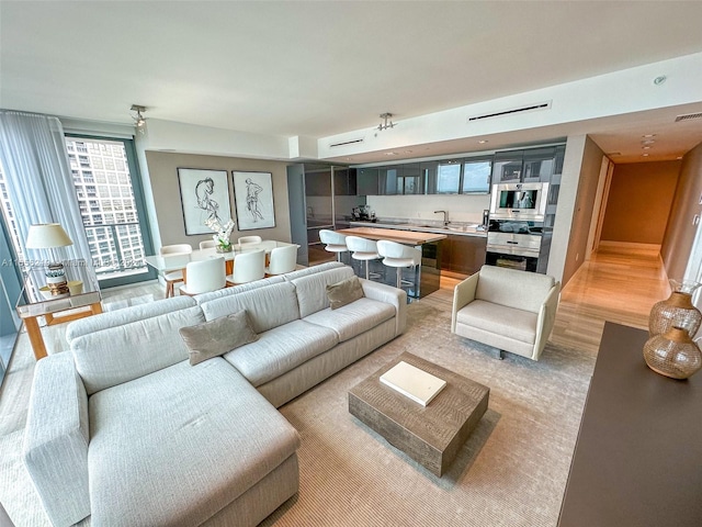 living room with wood-type flooring and sink