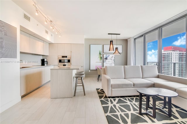 living room featuring rail lighting