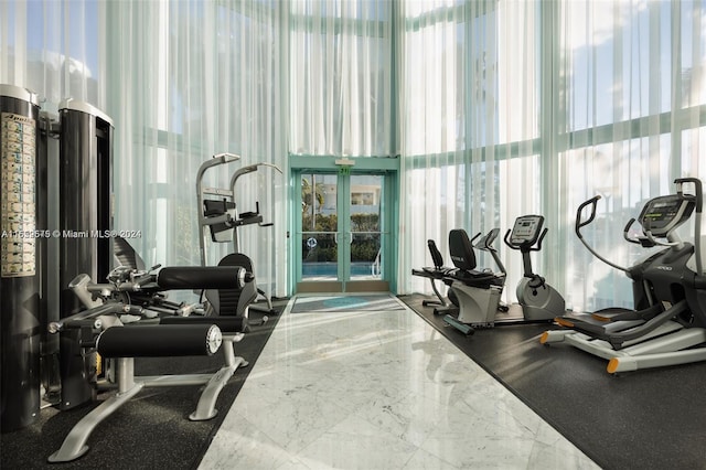 exercise room featuring french doors and a healthy amount of sunlight