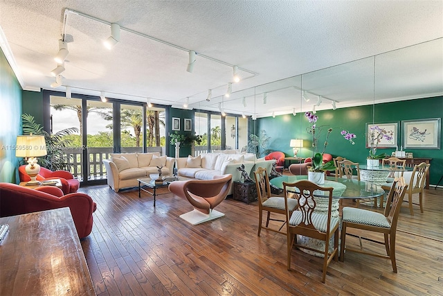 interior space featuring track lighting, dark hardwood / wood-style floors, and a healthy amount of sunlight