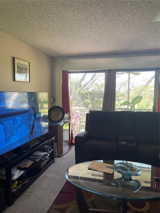 carpeted living room with a textured ceiling