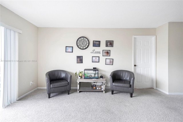 sitting room featuring carpet floors