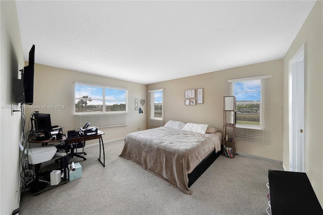 bedroom with light carpet, a textured ceiling, and multiple windows