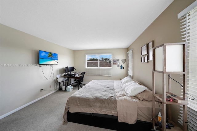 bedroom with carpet