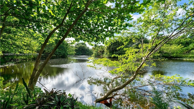 property view of water featuring a wooded view