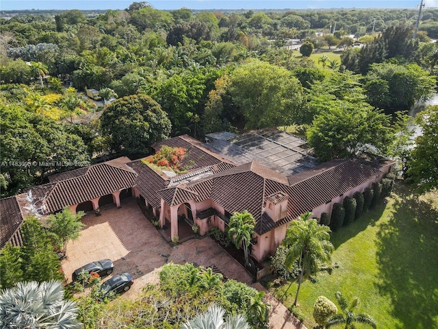 bird's eye view with a view of trees