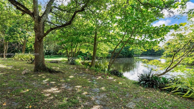 water view featuring a wooded view