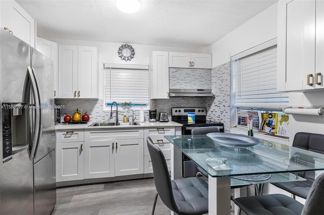 kitchen with under cabinet range hood, tasteful backsplash, stainless steel appliances, and a sink