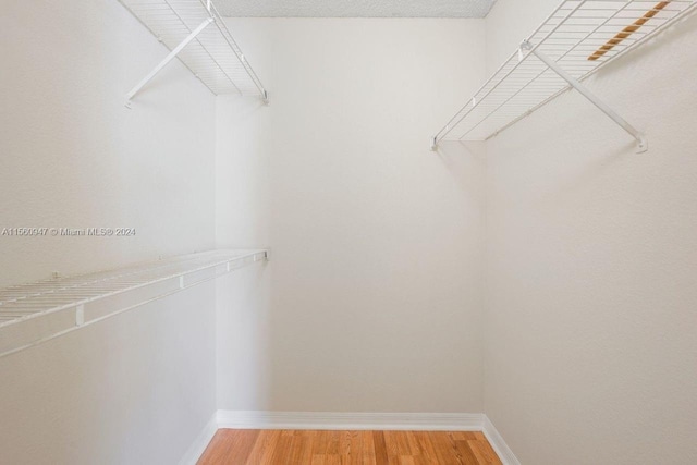 walk in closet featuring light wood-type flooring