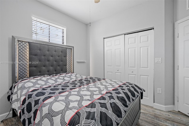 bedroom featuring a closet and dark wood-type flooring