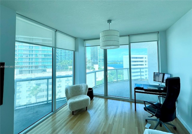 office space featuring a wall of windows, light hardwood / wood-style floors, and a textured ceiling