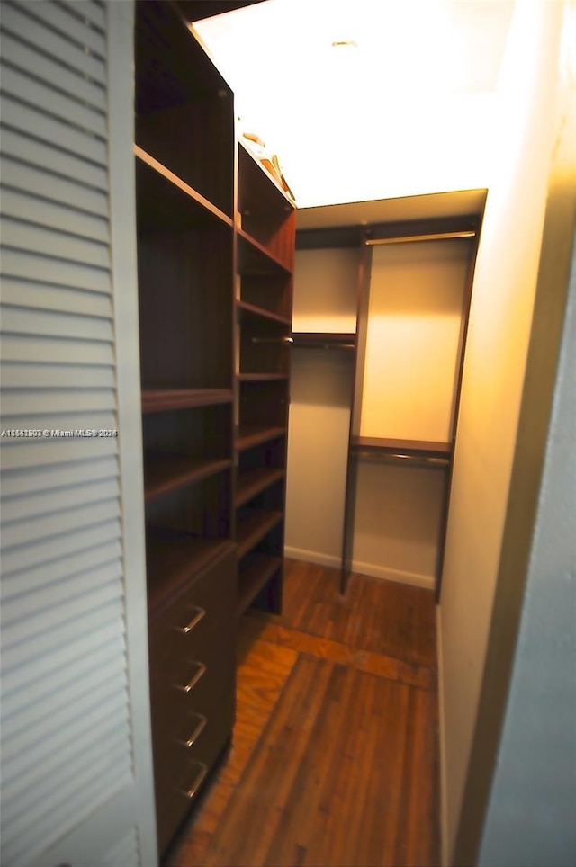 walk in closet with dark wood-type flooring