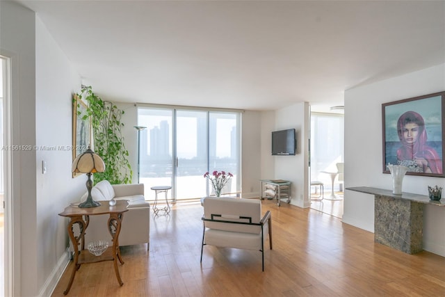 living room with light hardwood / wood-style flooring and expansive windows