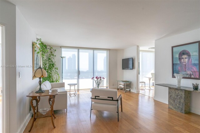 living room featuring light hardwood / wood-style floors and a wall of windows