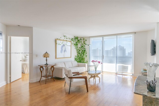 living room featuring light hardwood / wood-style floors and expansive windows