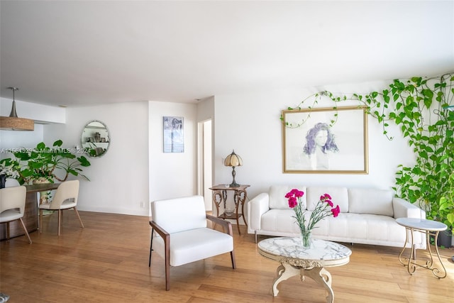 sitting room with hardwood / wood-style flooring