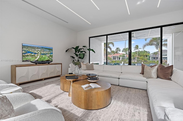 living room featuring a wealth of natural light and light wood-type flooring