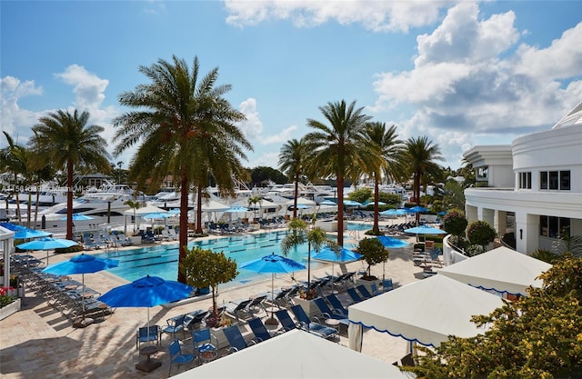 view of swimming pool