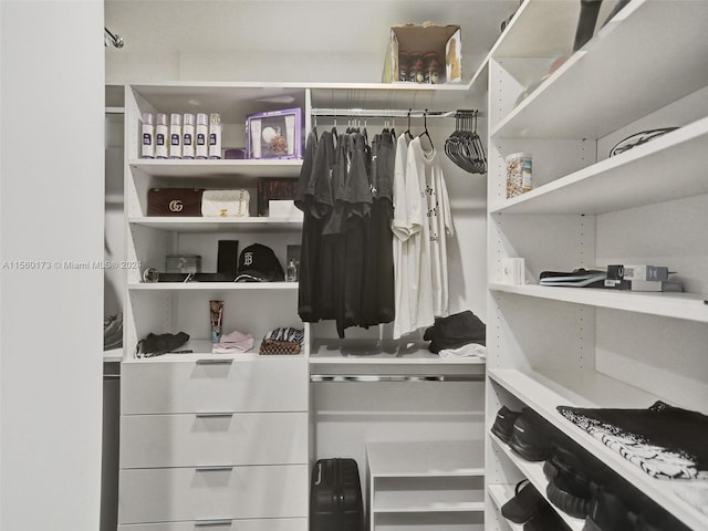 view of walk in closet