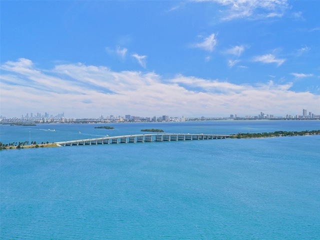 water view with a city view