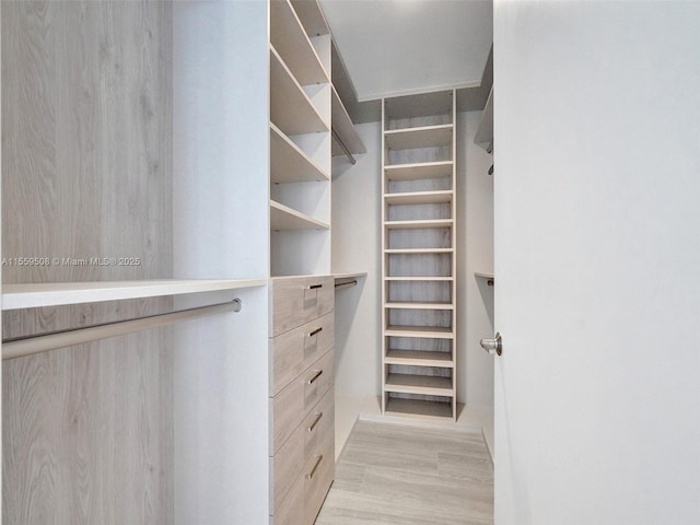 walk in closet with light wood-style flooring